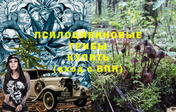 не бодяженный Новозыбков