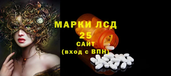 ГАЛЛЮЦИНОГЕННЫЕ ГРИБЫ Новодвинск