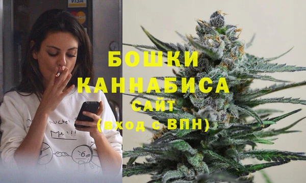 не бодяженный Новозыбков