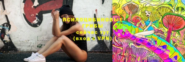 МДПВ Новокубанск