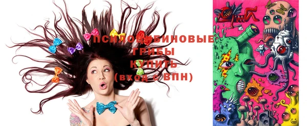 не бодяженный Новозыбков