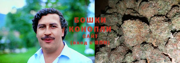 не бодяженный Новозыбков